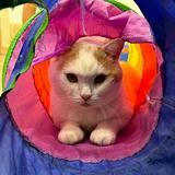 (Category: ) located in . Submitted by nbc5vqtv4m (Listing ID 1379539697, Image 1). Description: .