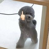 （分類：）位於 。 由 stan_09 提交（商品編號 1342103862，圖片 1）。簡介： 。