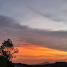 (Category: ) located in . Submitted by anakmelayu_ (Listing ID 1442982056, Image 1). Description: .