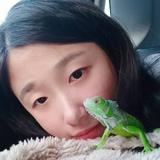 由 yihsuan8747 (刊登 ID 1368712133，圖片 1) 提交，位於 的 (類別：)，說明：。