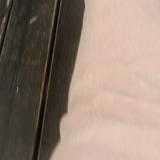 (Category: ) located in . Submitted by deanypp (Listing ID 1354392020, Image 1). Description: .