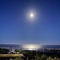 由 a09126580083683 (刊登 ID 1361170662，圖片 1) 提交，位於 的 (類別：)，說明：。