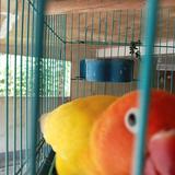 (Category: ) located in . Submitted by kayecatherinem (Listing ID 1321452527, Image 1). Description: .