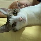 （分類：）位於 。 由 n.tony 提交（商品編號 1382693081，圖片 1）。簡介： 。