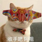 （分類：）位於 。 由 isirius 提交（商品編號 1379574258，圖片 1）。簡介： 。