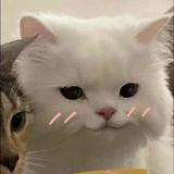 (Category: ) located in . Submitted by jimthecat (Listing ID 1372343743, Image 1). Description: .