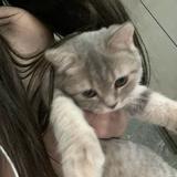 (Category: ) located in . Submitted by jinyqxy (Listing ID 1343089242, Image 1). Description: .