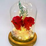 (Category: ) located in . Submitted by iflowers (Listing ID 1307836203, Image 1). Description: .