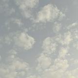 (分類:)位於 。 由 happycloud246 提交(商品編號 1454504086,圖片 1)。簡介: 。