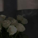 (分類:)位於 。 由 ineedagirl 提交(商品編號 1453147603,圖片 1)。簡介: 。
