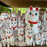 （分類：）位於 。 由 ry_yr 提交（商品編號 1350435234，圖片 1）。簡介： 。