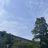 （分類：）位於 。 由 12345634567 提交（商品編號 1337645870，圖片 1）。簡介： 。