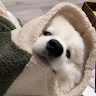 (分類:)位於 。 由 chloeyyy1212 提交(商品編號 1462796721,圖片 1)。簡介: 。