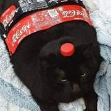 （分類：）位於 。 由 fuyuuno 提交（商品編號 1376883982，圖片 1）。簡介： 。