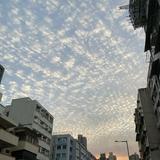 （分類：）位於 。 由 jobyylaw 提交（商品編號 1261559279，圖片 1）。簡介： 。