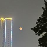 （分類：）位於 。 由 mdmdmdmlf 提交（商品編號 1147191392，圖片 1）。簡介： 。