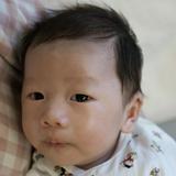 由 akuaku220 (刊登 ID 1385001450，圖片 1) 提交，位於 的 (類別：)，說明：。