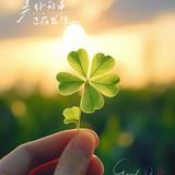 （分類：）位於 。 由 peppermint168 提交（商品編號 1371644718，圖片 1）。簡介： 。