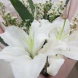 (Kategori: ) berada di . Dikirim oleh tokoalpurinew (ID iklan 1284529238, Gambar 1). Deskripsi: .