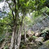 （分類：）位於 。 由 gthg6 提交（商品編號 1373780171，圖片 1）。簡介： 。
