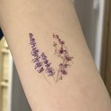 (Category: ) located in . Submitted by mextt (Listing ID 1385786724, Image 1). Description: .