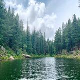 (Category: ) located in . Submitted by cjlinjerry99987 (Listing ID 1374582169, Image 1). Description: .
