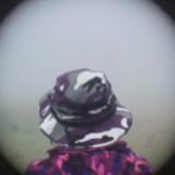 (Category: ) located in . Submitted by Hanap_ukay (Listing ID 1386150274, Image 1). Description: .