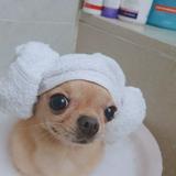(Category: ) located in . Submitted by ughyf (Listing ID 1339142629, Image 1). Description: .