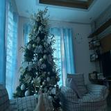 (Category: ) located in . Submitted by kitkat1021 (Listing ID 1346378204, Image 1). Description: .