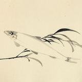(Kategori: ) berada di . Dikirim oleh fishieisarider (ID iklan 1383547663, Gambar 1). Deskripsi: .