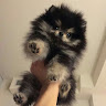 (Category: ) located in . Submitted by potatoaffogato (Listing ID 1459721469, Image 1). Description: .