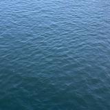 (Category: ) located in . Submitted by wowomi (Listing ID 1368360249, Image 1). Description: .
