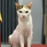 (Kategori: ) berada di . Dikirim oleh ibnnnn (ID iklan 1382855581, Gambar 1). Deskripsi: .