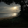 (Category: ) located in . Submitted by vrajgo (Listing ID 1380907590, Image 1). Description: .