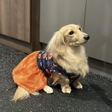 （分類：）位於 。 由 floriakeekee 提交（商品編號 1323614893，圖片 1）。簡介： 。