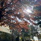 (Category: ) located in . Submitted by jndyjr (Listing ID 1367134369, Image 1). Description: .