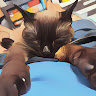 (分類:)位於 。 由 mocha.x.11 提交(商品編號 1463215334,圖片 1)。簡介: 。