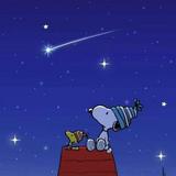 （分類：）位於 。 由 mic_mich 提交（商品編號 1382863008，圖片 1）。簡介： 。