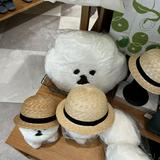 由 ginnyswardrobe (刊登 ID 1385957165，圖片 1) 提交，位於 的 (類別：)，說明：。