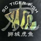 (Category: ) located in . Submitted by clat.sg_tiger (Listing ID 1361101456, Image 1). Description: .