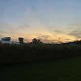 (Category: ) located in . Submitted by eric4lee (Listing ID 1381636900, Image 1). Description: .
