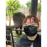 (Category: ) located in . Submitted by ruhuey (Listing ID 1381287128, Image 1). Description: .