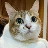 (Category: ) located in . Submitted by keep.keep (Listing ID 1379902299, Image 1). Description: .