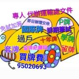 （分類：）位於 。 由 wts95020693 提交（商品編號 1110804847，圖片 1）。簡介： 。