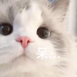 由 jancetsai_1001 (刊登 ID 1383998004，圖片 1) 提交，位於 的 (類別：)，說明：。