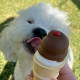 (Category: ) located in . Submitted by icecreamery (Listing ID 1348884130, Image 1). Description: .