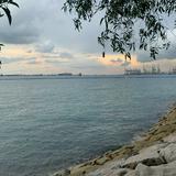 (Category: ) located in . Submitted by flytotay (Listing ID 1368934688, Image 1). Description: .