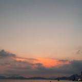 (Category: ) located in . Submitted by 55flowers (Listing ID 1308859990, Image 1). Description: .