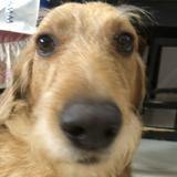 (Category: ) located in . Submitted by zee_cat101 (Listing ID 1447857321, Image 1). Description: .