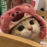 (Category: ) located in . Submitted by sunrise._ (Listing ID 1365398448, Image 1). Description: .